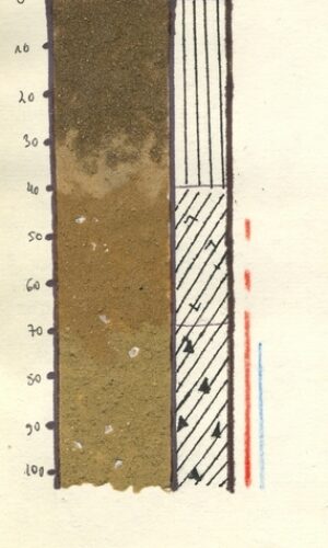 Asukoht: L-EstX: 0 L-Est-Y: Nimetus EST: KIg Nimetus WRB: Maakasutus: Taimkate: Kirjeldus: Gleistunud leetjas muld Pildistamise aeg: Märksõnad: liimmonoliit Mullamuuseum ©