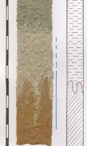 Asukoht: L-EstX: 0 L-Est-Y: Nimetus EST: L(P)g Nimetus WRB: Maakasutus: Taimkate: Kirjeldus: Gleistunud hele näivleetunud muld Pildistamise aeg: Märksõnad: liimmonoliit Mullamuuseum ©