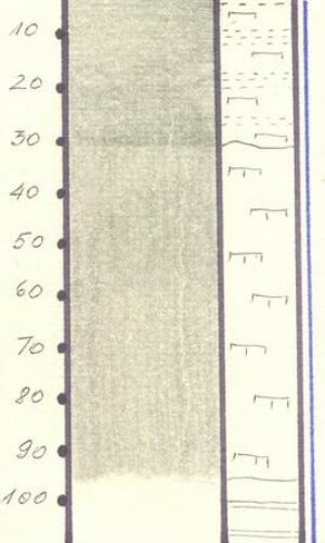 Asukoht: L-EstX: 0 L-Est-Y: Nimetus EST: AM`` Nimetus WRB: Maakasutus: Taimkate: Kirjeldus: Õhuke lammi-madalsoomuld Pildistamise aeg: Märksõnad: joonismonoliit Mullamuuseum ©