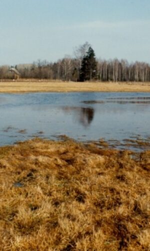 Asukoht: L-EstX: 0 L-Est-Y: Nimetus EST: Nimetus WRB: Maakasutus: Taimkate: Kirjeldus: Pildistamise aeg: Märksõnad: maastik muldade omadused Mullamuuseum © Illar Lemetti