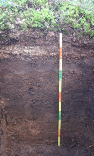 Asukoht: Tooma Jõgevamaa L-EstX: 0 L-Est-Y: Nimetus EST: S''' Nimetus WRB: Fibric Histosol Maakasutus: mets Taimkate: Kirjeldus: Pildistamise aeg: 08/2007 Märksõnad: mullaprofiil EU BioSoil project Mullamuuseum © Metsakaitse- ja Metsauuenduskesk