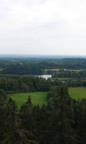 Asukoht: Võrumaa, Haanja L-EstX: 0 L-Est-Y: Nimetus EST: Nimetus WRB: Maakasutus: Taimkate: Kirjeldus: Pildistamise aeg: 06/2007 Märksõnad: maastik Mullamuuseum © Alar Astover